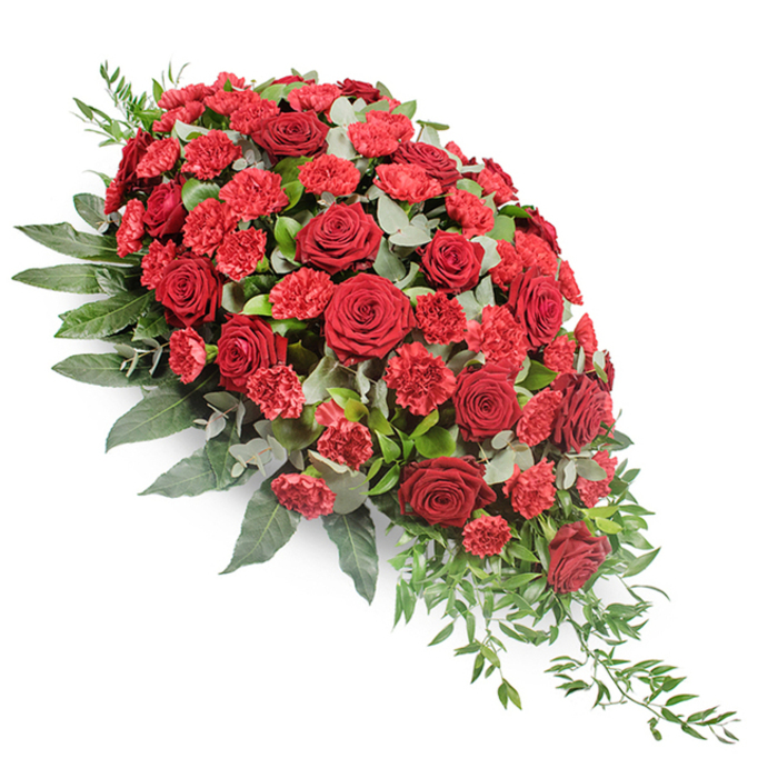 A richly detailed funeral flower spray in deep crimson tones is displayed against a clean white backdrop, emphasising its flowing teardrop silhouette. The arrangement begins with a broad, full cluster of blooms at the upper left, then gradually narrows as it cascades diagonally down to a fine, tapering point at the lower right, much like the gentle curve of a path winding through Canonbury's quiet residential streets. At the centre of the design are numerous deep red roses, their velvety petals layered in tight, symmetrical spirals that open just enough to show their depth without losing their classical shape. Each rose communicates a sense of solemn beauty and enduring love. Interlaced between these are vivid red carnations and spray carnations, their ruffled petals adding volume and a soft, feathery structure that fills any gaps, giving the spray a dense, luxurious appearance. Beneath and around the flowers lies a foundation of lush greenery. Broad, dark green leaves, likely salal or another sturdy foliage, form a strong, supportive base, framing the blossoms and reinforcing the elegant outline. Scattered among them, rounded eucalyptus leaves in silvery-green provide a cool, misty contrast that lightens the overall palette. From the narrowing lower-right tip, slender, light green stems and small leaves trail gently outward, adding a sense of natural movement, as though the arrangement is quietly spilling forward. This carefully composed casket spray, suitable for a funeral or memorial service in Canonbury and neighbouring Islington, feels both traditional and deeply personal-a refined expression of sympathy, remembrance, and respect, prepared with the thoughtful craftsmanship of a local funeral florist.
