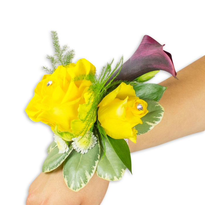 An elegantly composed wrist corsage is shown on a light forearm, photographed on a pristine white background to make the hues sing. At the centre are two luminous yellow roses - a fuller, more open bloom on the left and a smaller, cupped bloom to the right - each set with a tiny clear diamante at its heart that adds a refined, sparkling accent. Nestled just behind the right rose, a single dark plum calla lily rises, its glossy, trumpet-shaped form providing deliberate drama and a rich tonal counterbalance to the sunny roses. Accents of fine asparagus fern create a soft green mist around the blooms, while broad, variegated green-and-cream leaves establish weight and shape beneath them. Sprays of minute white filler flowers - reminiscent of tiny chrysanthemums or fine baby's breath - fill negative spaces and give the piece a finished, wearable silhouette. The arrangement is positioned diagonally from the image's lower-left to the center-right, showing how it sits naturally on the wrist with the fastening largely concealed. The overall effect is tactile and fragrant: powdery rose petals, cool glossy foliage and the faint lift of fern. Prepared with Canonbury sensibilities in mind - suitable for a bride on her way to Canonbury Square or a guest meeting friends at the nearby Chapel Market - this corsage demonstrates careful floral engineering and colour sense from Canonbury Flowers, marrying jewel-like sparkle with fresh, garden textures.