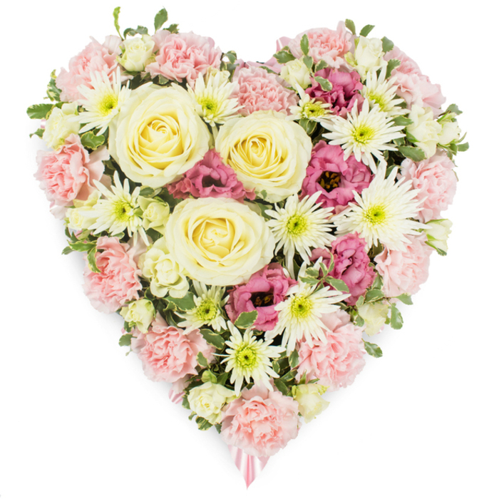 A striking heart-shaped floral arrangement fills the frame against a clear, white background, its dense composition and soothing colours creating a powerful symbol of love, loss, and remembrance. At the centre of the heart, several beautifully formed roses in pale cream to buttery yellow take pride of place, their spiralling petals layered with a soft, satiny texture that draws the eye inward. These roses sit within a generous bed of pastel pink carnations, each bloom displaying intricate, ruffled petals that overlap like delicate fabric, building up the bulk and outline of the heart and giving it a plush, cushion-like appearance. Threaded through this pink foundation are pure white spider chrysanthemums, their thin, elongated petals stretching outward from bright green centres, bringing a touch of brightness and intricate detail to the tribute. Scattered carefully among the softer colours are deeper magenta-pink lisianthus, their slightly fluted, cup-shaped blossoms introducing a richer note of colour and emotional depth, as if reflecting more intense memories and feelings. Small pieces of fresh, variegated foliage peek between the flowers, adding natural contrast and keeping the overall design lively and balanced. From the very tip of the heart, a slender pink ribbon discreetly emerges, a gentle reminder that this is a funeral or sympathy arrangement prepared with great care, perhaps for a service in Canonbury, a quiet farewell near Islington Green, or a memorial gathering along St Paul's Road. The white background allows the heart's contours and colours to stand out clearly, making the tribute appear both elegant and serene. It feels like a final, loving embrace rendered in flowers, crafted to honour someone dear with grace and sincerity.