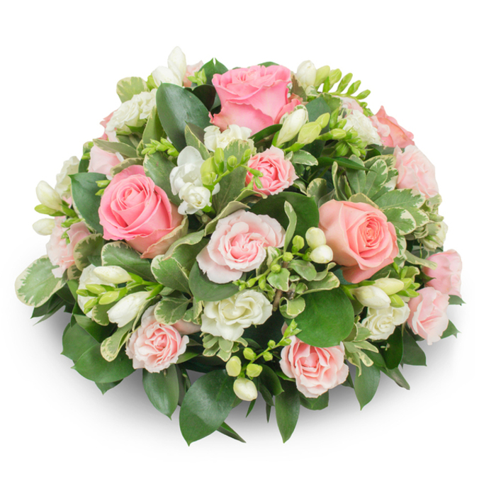 A dense, domed floral composition in soothing shades of pink and white, carefully photographed on a stark white background to emphasise its refined shape and textures. The dominant blooms are traditional pink roses - a mixture of fully opened, romantic roses with soft, velvety spirals and smaller spray roses that introduce gentle variation in size and tone. Nestled among them are clusters of pristine white freesia, some petals unfurled in delicate, bell-like forms while other buds remain closed, hinting at time and renewal. Smaller white filler blooms and compact garden roses or miniature carnations provide pockets of quiet brightness, while the foliage underlayer is rich and varied: broad, glossy greens (reminiscent of salal or ruscus) create volume and depth, and cream-edged variegated leaves (likely pittosporum) lift the palette with crisp accents. The composition is tightly arranged with no visible stems, yielding a cushion-like profile that feels formal yet tender. Soft, natural light reveals each petal's texture - from satiny rose faces to the translucent edges of freesia - and the overall impression is one of calm reassurance. This arrangement suits solemn occasions such as memorial services and funerals, or as an understated expression of sympathy and remembrance. For those in Canonbury and neighbouring Newington Green, it reads as a quietly elegant way to mark loss or to offer comfort, conjuring the reserve of local chapels and the gentle shade of Canonbury's garden squares.