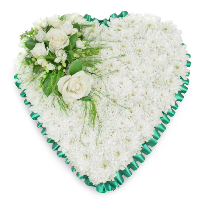 Classic heart-shaped funeral tribute featuring a dense bed of white chrysanthemums, thoughtfully arranged to create a calm, unbroken field of blooms for a service in or around Canonbury. Each chrysanthemum head is tightly nestled against the next, forming a soft, textured surface that feels almost like a white quilt of petals, inviting touch and contemplation. The colour is a clear, bright white, symbolising purity, reverence, and the peaceful rest wished for the departed. Around the perimeter, a vivid emerald green satin ribbon is carefully pleated, its scalloped folds giving a rhythmic, decorative edge that emphasises the heart shape. The satin catches the light gently, adding a refined glimmer without overpowering the gentle mood of the flowers. In the upper left section of the heart lies a beautifully composed accent spray: two prominent white roses fully open, their layered petals forming soft spirals, supported by smaller white blossoms such as freesias and petite buds that suggest new life and tender memories. The central roses serve as a visual and emotional focal point, like a quiet embrace in bloom. A selection of greenery surrounds the flowers, including shiny, broad leaves and fine, feathery fronds reminiscent of asparagus fern, which arc gracefully outwards and occasionally trail over the chrysanthemum bed. This foliage adds dimension, shadows, and delicate movement, as if the tribute were breathing gently. Presented on a clean white background, the arrangement appears crisp and dignified, echoing the tranquillity of a memorial gathering near Canonbury Square or a chapel off Upper Street. Created as a sympathy heart, it is suitable for funeral services, cremations, and graveside tributes, speaking of enduring love and heartfelt condolence.