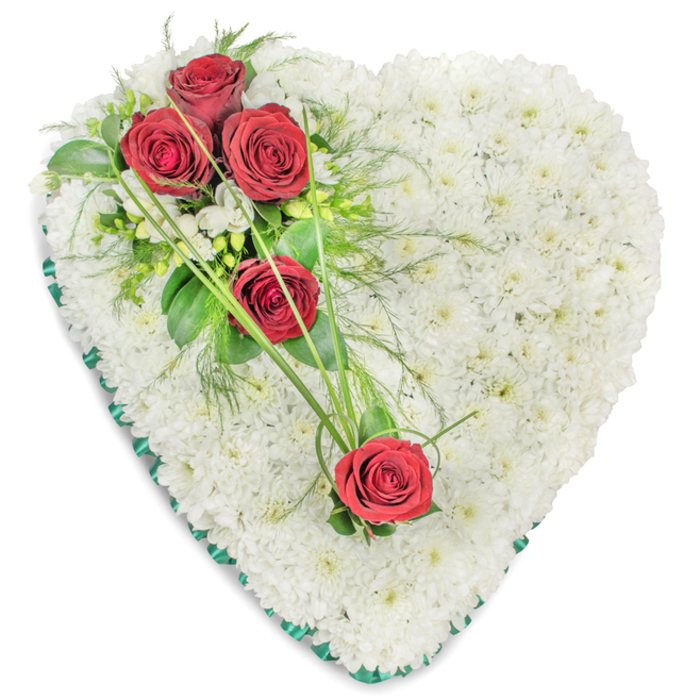 This image shows a classic heart-shaped funeral tribute, carefully arranged to convey tenderness and deep respect. The heart is entirely filled with compact, small-headed white chrysanthemums, each bloom nestled tightly beside the next to form a smooth, cushion-like expanse. The surface looks soft and comforting, as if it would yield gently to the touch, suggesting purity and peace. Against this immaculate white canvas, five rich red roses create a striking diagonal accent, echoing the strength of enduring love often felt at services in Canonbury's local churches and chapels. At the upper left curve of the heart, three of these roses are grouped together in a generous cluster, their velvety petals arranged in perfect spirals. They are framed by tiny white filler blossoms, probably freesias, and a thoughtful mix of foliage-shiny dark green leaves, lighter sprigs, and wisps of delicate, fern-like greenery that add dimension and a natural, garden-fresh look. Towards the lower right side, a further rose, and a companion bloom slightly above it, extend the line of colour, the trio connected by arching strands of bright green ornamental grass. These slender blades curve gracefully across the white chrysanthemums like a gentle brushstroke, drawing the eye smoothly from one side of the arrangement to the other. The outer edge of the heart is carefully finished with a rich, dark green satin ribbon, folded and pleated to form a crisp frame that subtly enhances the heart's outline. Everything is lit with soft, even light, allowing the contrast between white, red, and green to appear vivid yet serene. This tribute would be a fitting choice for a funeral, memorial, or graveside service in Canonbury, quietly expressing love, remembrance, and the wish for peaceful rest.
