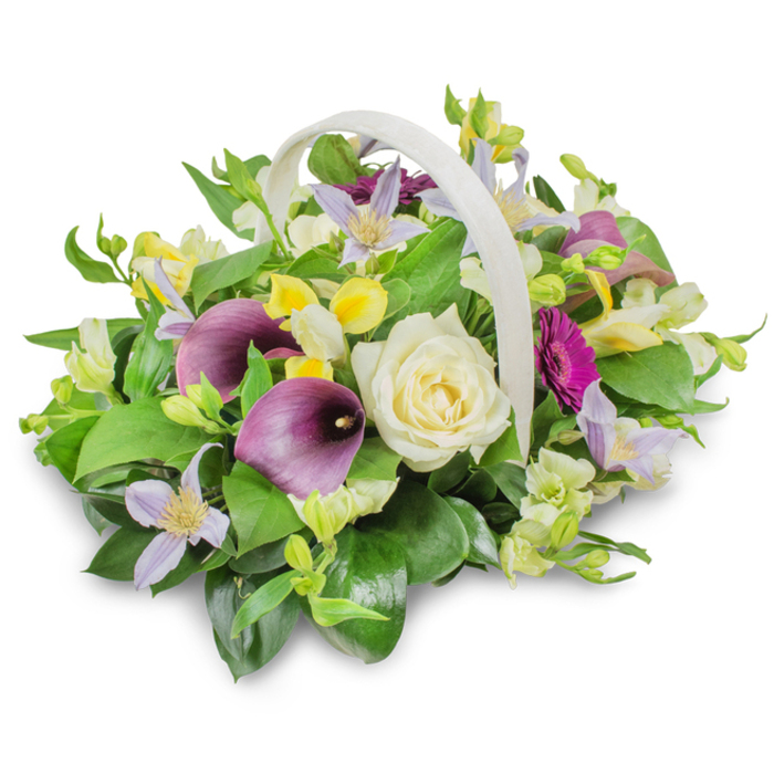 A serene and elegant funeral basket arrangement is presented in a pale, woven container with a sturdy, arched handle, placed against a crisp white studio background that allows every colour and texture to stand out. The composition has a rounded, overflowing shape, suggesting generosity and heartfelt care, much like a neighbourly gesture in Canonbury during difficult times. Dominating the centre is a large creamy white rose, its tightly layered petals forming a classic spiral that speaks of innocence, remembrance, and enduring affection. On either side, deep purple calla lilies stretch gracefully upward, their sleek, trumpet-like forms and velvety tones adding a refined, almost sculptural quality to the design. Threaded gently through the greenery are star-shaped clematis blooms in soft lavender and pale lilac, each with a delicate yellow centre that adds a whisper of light. Clusters of sunny yellow blossoms and smaller white, trumpet-shaped flowers, reminiscent of freesia or alstroemeria, provide cheerful highlights that temper the sadness of loss with quiet hope. To the right, a single vivid magenta gerbera daisy emerges from the foliage, its circular halo of slender petals offering a bold note of love and celebration of life. The arrangement is richly cushioned in an abundance of glossy, dark green leaves and lighter green sprigs, creating depth and a natural, garden-like feel, as if gathered from a peaceful corner near Canonbury Square. Soft, even lighting casts a gentle shadow beneath the basket, giving the piece dimension and realism. This beautifully balanced floral tribute is perfectly suited for funeral services or as a condolence gift, expressing sympathy, respect, and support through its harmonious blend of colour and form.