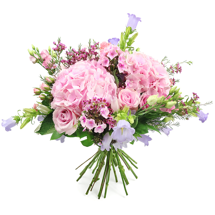 Against a bright white background, a generous, round bouquet of pink and purple flowers appears almost to float, its colours and textures carefully composed to feel both abundant and airy. The eye is immediately drawn to two large clusters of soft pink hydrangeas, their many small, scalloped petals overlapping to form plush, rounded domes that anchor the design. Interlaced with these are elegant light pink roses; some blooms are fully open, revealing intricate spirals at their centres, while others remain in bud, the outer petals wrapped protectively around the promise inside. Rising from within the hydrangea and rose canopy are slender, wiry stems tipped with bell-shaped flowers in shades of pastel lavender and gentle periwinkle, likely campanula, adding vertical lift and a slightly whimsical, meadow-style feel that recalls the relaxed charm of Canonbury's tree-lined streets. Deeper fuchsia and raspberry-pink filler flowers, arranged in small clusters, punctuate the softer tones with sparks of richer colour, giving the bouquet rhythm and depth. Around and between the blooms, fresh green foliage provides contrast and structure: smooth leaves, fine stems, and tiny buds hint at new growth and garden freshness, as if the flowers were just gathered from a border in a quiet garden off Essex Road. The stems are gathered and tied at the base in a traditional hand-tied fashion, their cut ends neatly aligned and visible. Soft, even lighting emphasises the natural beauty of each petal and the gentle sheen on the leaves. This bouquet feels perfect for marking joyful life events-an anniversary dinner in a Canonbury townhouse, a birthday brunch near New River Walk, or simply welcoming the lightness of spring into a home.