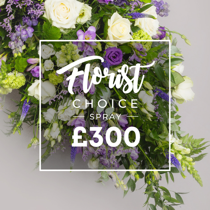 A long, elegant floral spray unfurls with a refined, downward sweep, crafted as a substantial memorial tribute. The palette leans toward pristine whites and moody purples, punctuated by fresh greens for a natural, garden-like feel. Large ivory-white roses sit alongside white lisianthus and delicate freesias, their petals catching the light with a satin glow. Interlaced among them are bursts of deep purple lisianthus and softer lavender-toned blooms, while tall spires of blue-purple veronica or delphinium add vertical drama. The mass of foliage-fern-like fronds and broad, glossy leaves-creates a lush backdrop that gives the spray a flowing, architectural grace. Set against a soft, neutral grey background, an elegant white overlay frames the central message. Florist Choice sits at the top in a flowing script, followed by SPRAY in bold uppercase letters, and a crisp price of ?300 at the bottom. The composition feels carefully balanced, marrying opulence with restraint-a hallmark of Canonbury Flowers' approach to premium occasions. The spray is designed to lie on a casket or stand as a dignified memorial tribute, its height and length signaling presence without overwhelming the solemn space of a ceremony in Canonbury or nearby Islington churches. Crafted with seasonal blooms and expert technique, this spray communicates respect and care through texture, scent, and form. The blend of ivory, purples, and greens evokes serenity and reverence, inviting quiet reflection in a chapel or a family viewing space around Canonbury and the surrounding boroughs. It is a thoughtful expression from a local florist who understands our neighbourhood's rituals and memories. Canonbury Flowers offers reliable delivery across Canonbury, Islington, and the neighbourhoods beyond, ensuring this refined spray reaches its destination with discretion and care. It stands as a testament to local craftsmanship, a meaningful tribute that suits funerals, memorials, or simply a quiet moment of remembrance near Upper Street and along the calm streets of Canonbury.