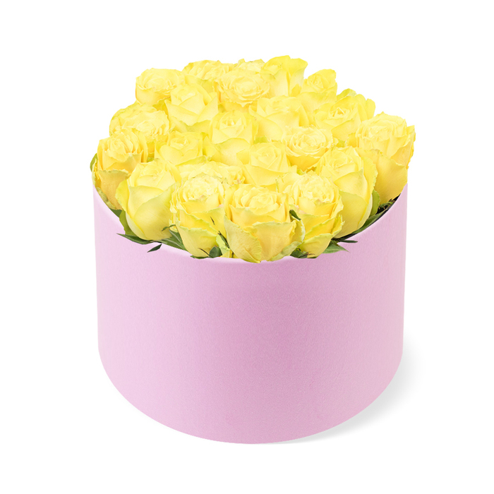 A chic round hatbox, finished in soft pastel pink with a luxurious matte texture, overflows with a tightly packed cluster of bright yellow roses, creating an opulent, almost cushion-like dome of blooms. The cylindrical box stands upright in the centre of a pure white background, its blush tone delicately understated, allowing the roses' vivid colour to command attention. Each rose is meticulously arranged side by side, the petals forming intricate spirals that shift from rich, warm yellow at the cores to fresher, lighter lemon hues at the outer edges. The heads sit so closely together that they seem to merge into one continuous surface of velvet-like petals, with only the occasional glimpse of fresh green foliage breaking through the sea of yellow. The light falls evenly across the arrangement, revealing the subtle shadows between the petal layers and the gentle curvature of the flowers, while casting almost no shadow beyond the box itself. This creates a modern, editorial feel, as though the design were styled for a high-end magazine shoot. The overall impression is one of joyful refinement, ideal for celebrating milestones or sending a message of appreciation to someone living near Canonbury Crescent, Islington Green, or along St Paul's Road. The arrangement would sit beautifully on a hallway console, a coffee table, or a desk, bringing a burst of sunshine to a contemporary London home. It captures the artistry of a skilled Canonbury florist, transforming classic yellow roses into a sophisticated hatbox display that suggests friendship, optimism, and stylish celebration.