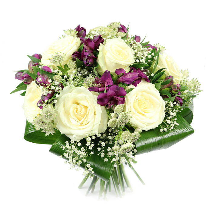 This hand-crafted bouquet, set against a crisp white backdrop, showcases the kind of considered, elegant floristry you might expect from a trusted Canonbury flower shop. At the centre of the composition, six or more generous creamy white roses are fully open, their petals forming perfect spirals that seem almost sculpted. The roses sit closely together in a rounded cluster, giving a sense of fullness and quiet luxury, as if they've been freshly gathered from a well-tended garden. Threaded between them are vivid strokes of colour from deep purple and magenta alstroemeria, whose slender, trumpet-like blooms and fine markings provide contrast and movement. Some petals curl outward with confidence, while neighbouring buds remain partially closed, a reminder of the bouquet's freshness. Wispy sprays of white gypsophila are woven throughout, each tiny flower catching the light and softening the transition between the bolder blooms, like a gauzy veil over the arrangement. Delicate astrantia in pale greenish white add a distinctive, textured note, their pincushion centres and bracted stars lending intricacy and a slightly wild, natural charm. Around the base, broad aspidistra leaves are neatly folded and wrapped into a polished collar of dark, glossy green, holding the bouquet tightly and emphasizing its compact, domed silhouette. The cut stems emerge beneath in an orderly bundle, indicating a traditional hand-tied design ready for a vase on a Canonbury windowsill overlooking New River Walk. The overall feeling is one of calm refinement and tenderness, suitable for occasions such as anniversaries, thank-you gestures, or as a gentle expression of sympathy delivered across Canonbury and neighbouring Islington.