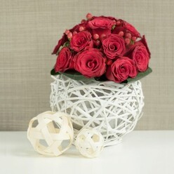 At the heart of the photograph, a compact, meticulously rounded bouquet of rich red roses rises from a sculptural white wicker sphere, creating a centerpiece that feels both romantic and modern. The roses form a dense dome, their velvety petals swirled in tight spirals and wider, open cups, so that the eye moves from bud to full bloom in a gentle rhythm. Between the roses, small clusters of deep red Hypericum berries shimmer softly, their smooth, bead-like shapes introducing a different texture and a slightly brighter note of red. Just at the base of the bouquet, a subtle ring of dark green leaves peeks out, grounding the intense colour of the flowers and giving the design a natural, garden-fresh touch, as though the roses had just been gathered from a hidden courtyard off Canonbury Square. The arrangement is cradled in a distinctive round vase made from white-painted twigs woven into an open, basket-like lattice. Light passes through the spaces between the twigs, casting delicate patterns on the pristine white table beneath and enhancing the airy, handcrafted character of the piece. To the left of the vase, two decoratively woven spheres made from natural, pale wood sit casually on the tabletop: the larger one in the foreground and a smaller one just behind, echoing the main container's texture but in a softer, beige tone. The background fades into a neutral, finely textured wall in shades of light taupe, so the vibrant reds and crisp whites remain the focus. The scene feels calm yet celebratory, ideal as a wedding table arrangement for an intimate reception in Canonbury, perhaps in a local gallery space or a cosy neighbourhood restaurant.