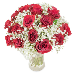 Approximately 18-20 lush, deep red roses form a full, rounded crown within a simple clear glass vase, their long green stems visible through the water and adding a fresh structural line to the design. Each rose is chosen for its velvety, fully opened petals and saturated crimson tone; together they create a rich, romantic field of colour. Nestled throughout and radiating like a gentle mist are countless tiny white blooms of baby's breath (Gypsophila paniculata), their delicate clusters softening the roses' intensity and lending an almost cloud-like halo to the arrangement. The overall composition is compact and elegant, lit evenly so that petal texture and the airy gypsophila show in fine detail, as if photographed near the pale light of Canonbury Square on a calm morning. The scent is tender and familiar - the warm, rose-sweet fragrance balanced by the clean green notes of stems and water - evoking quiet celebrations, heartfelt apologies, and moments of intimate joy. As a local florist, I craft this kind of bouquet with attention to proportion and durability so the blooms arrive looking fresh and balanced; at Canonbury Flowers we can prepare similar arrangements for local delivery across Canonbury and nearby Islington when you need a same-day romantic gesture. Thoughtful and timeless, this bouquet reads as both a classic emblem of love and a composed, modern arrangement for meaningful occasions.