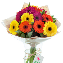 Bathed in soft, natural light, a striking bouquet of multi-coloured Gerbera daisies takes centre stage, arranged with care in a clear, elegantly shaped glass vase. The lively mix of sunny yellows, glowing tangerine oranges, and deep magenta fuchsia blooms radiates a sense of delight and warmth, reminiscent of the vibrant weekend atmosphere at Canonbury's local cafes and green spaces. Each daisy features a bold, dark central eye, framed by layers of velvety petals, each one gently arching outward among sprigs of verdant greenery. The flowers are gathered and wrapped in delicately crinkled brown kraft paper-a tactile nod to the artisanal packaging found in the area's independent boutiques-finished with a smooth cellophane layer that offers gentle protection and a subtle glimmer. The stems are visible through the vase, immersed in clear water, while a natural-coloured twine gathers them neatly and a small white tag hangs thoughtfully from the bundle, subtly marked with a red rose drawing. This arrangement instantly evokes feelings of gratitude and celebration-be it marking a friend's milestone just off Essex Road or brightening a home near Compton Terrace. A testament to Canonbury's blend of urban energy and leafy tranquillity, this bouquet is ideal for those seeking a heartfelt, uplifting gift delivered locally.