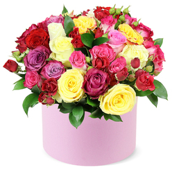 Radiant hatbox arrangement bursts with roses that feel like a celebration of affection. Bright yellow blooms mingle with regal purples and playful pinks, while heart-fluttering reds add romance. The texture is wonderfully rich, each rose unfurling in ruffled layers that tempt the fingertips. Placed in a smooth pastel pink container, the bouquet gains a modern twist-a stylish nod to contemporary floral artistry. The design is carefully structured yet inviting, a domed mass of petals that balances abundance with grace. A light rose fragrance lingers, soft and inviting, like a promise of warm moments to come. This piece would brighten a birthday surprise or convey a thoughtful gesture, radiating cheer through Canonbury's streets and into homes along Upper Street, Canonbury Square, and beyond. It's the kind of bouquet you'd imagine gracing a sunny sitting room, a café table, or a reception desk, bringing a touch of seasonal sunshine to any setting. Delivered with reliable same-day service to Canonbury and nearby neighborhoods, it travels with care to brighten both homes and offices in Islington and beyond.