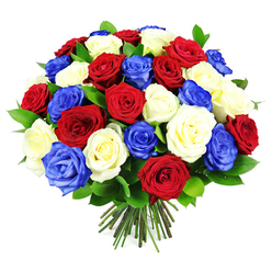 A lush, circular bouquet of roses in red, white, and royal blue is displayed against a spotless white background, its colours as striking as a flag unfurled on a bright day over Canonbury's quiet squares. The roses are tightly packed into a rounded dome, each bloom positioned so that their velvety petals overlap and layer, creating a sense of movement and fullness. The red roses glow with a classic, deep crimson tone, the white roses appear creamy and soft, and the blue roses bring an unexpected, almost electric intensity, giving the bouquet a distinctly patriotic character. Gentle variations in how open the flowers are add interest: some heads are fully unfurled, revealing spirals of petals, while others remain more cupped, ready to open over the next day or two. Slender touches of dark green foliage thread through the blooms, their glossy surfaces catching the light and adding shadow and depth, like leafy pauses amidst the sea of colour. Cleanly cut stems gather together at the bottom, fanning slightly where they have been trimmed and tied by an experienced florist, suggesting this bouquet is ready to slip straight into a favourite vase on a table near Canonbury Gardens or by a window overlooking the New River Walk. The whole composition feels considered and intentional, perfect for marking national holidays, honouring service, or sending a strong, proud message of unity and support with same-day flower delivery to friends and family across Canonbury and nearby neighbourhoods.