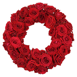 Imagine stepping into a sunlit workshop in Canonbury, where a circular wreath of deep crimson roses rests like a quiet promise. Each blossom has been selected at the peak of its beauty-petals soft and supple, layers unfurling with a touch of opulence-and arranged in a continuous embrace so that the roses press gently against one another, creating a plush, velvety tapestry of crimson. The arrangement feels both celebratory and contemplative, able to mark joyous occasions or solemn farewells with equal grace. A faint rose fragrance lingers, mingling with a hint of greenery from hidden stems, a sensory cue that the blooms are fresh and well cared for. The outer ring holds a clean, even line, while the interior reveals the artistry of placement-larger blooms at the horizon, subdued buds near the center-drawing the eye along the circle in a slow, satisfying sweep. In the streets near Highbury and along Upper Street, this wreath is a familiar sight, a versatile statement piece that a host might place over a doorway or a memorial service might welcome with quiet dignity. For Canonbury customers, the piece is available with dependable same-day delivery to Canonbury, Islington, and surrounding communities, ensuring it arrives as a living tribute rather than a mere decoration. It is built with care: interlaced stems, secure anchoring, and a finish that leaves every petal edge crisp and pristine, ready to carry affection and respect wherever it is displayed.