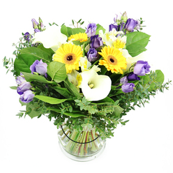 Vibrant, optimistic, and unmistakably Canonbury in spirit, this bouquet bursts with sunny energy and refined grace, arranged in a clear glass cylinder that catches the light as if the room itself is blooming. The star of the show are the large yellow Gerbera daisies, their bright disks and dark centers radiating warmth and joy. They are elegantly offset by creamy white Calla lilies, whose smooth, sculptural petals invite a touch, and by lavender to purple Lisianthus that lend a touch of sophisticated poise. White Alstroemeria with delicate yellow streaks thread through the arrangement, adding texture and nuanced brightness. A lush backbone of greens-silvery eucalyptus and broad green leaves-gives fullness, depth, and a fresh forest aroma. The stems are neatly trimmed and arranged in a transparent vase, water clear and inviting, with a slender black tie securing the group's cohesion. This bouquet speaks to celebration and everyday delight alike-a versatile gift for birthdays, anniversaries, or simply to say you're thinking of someone. Canonbury Flowers offers reliable delivery across Canonbury, Islington, and nearby districts, including same-day options to bring this cheerful design to a friend's doorstep within minutes of order.