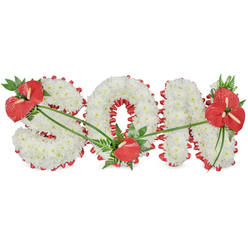 The image shows a refined and deeply personal funeral flower tribute spelling "SON" in large, upright letters, presented against a clean white backdrop that allows every detail to be clearly seen. Each character is completely filled with tightly massed white chrysanthemums, their rounded petals forming a velvety, almost snowy surface that feels gentle and comforting, like a soft blanket of memory. Tracing the contours of the 'S', 'O', and 'N' is a striking red satin ribbon, scalloped and slightly ruffled, which adds a vivid accent and sharply outlines the careful shapes of the letters. Threaded through the design are three groupings of red anthuriums, their waxy, heart-shaped blooms glowing with intensity, each one centred around a strong spadix. One prominent cluster, teamed with dark green foliage and feathery ferns, decorates the upper left arc of the 'S'. A single anthurium is tucked thoughtfully into the lower edge of the 'O', and a larger, more intricate grouping crowns the upper right side of the 'N', giving the composition a sense of balance and completion. Fine green leaves and stems are draped across the white blooms, subtly linking the red focal points and adding a natural, flowing rhythm. The overall impression is of a handcrafted memorial, like something quietly placed at a chapel in Canonbury or along a peaceful street near Essex Road, created by an attentive florist to honour a beloved son with grace, warmth, and dignity.