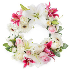 This image shows a full, open circular sympathy wreath, carefully composed in a palette of white, pale pink, and deep fuchsia, set against a plain white background so every flower stands out clearly. Large white lilies, their petals broad and silky with softly ruffled edges, create luminous focal points around the wreath, each bloom revealing delicate green centres and golden pollen-dusted stamens. Interwoven with them are dramatic deep pink and magenta lilies, star-shaped and sometimes lightly freckled, adding a rich intensity that balances the calm whites. Between these statement flowers sit clusters of roses in shades of tender blush and creamy ivory, some tightly furled, others fully open with layered petals that speak of affection, remembrance, and grace. White gerbera daisies punctuate the design, their dark central eyes and crisp, evenly spaced petals giving the wreath a contemporary touch, like something you might see in a window along Upper Street near Canonbury. Smaller white blossoms, such as petite carnations or spray chrysanthemums, fill every gap, creating a plush, unbroken ring that feels both abundant and carefully controlled. A base of fresh green foliage curves around the entire design, with varied leaf shapes and tones of green adding depth and framing the flowers without overwhelming them. The lighting is soft and even, allowing the whites to glow and the pinks to appear rich but not harsh. This wreath feels like a gentle embrace, ideal for a funeral or memorial gathering in Canonbury or nearby Highbury, where families wish to honour a life with quiet elegance, freshness, and sincere condolence.