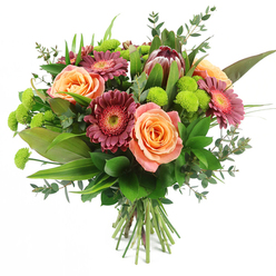 This photograph captures a richly textured, hand-tied bouquet set against a pristine white background, highlighting every subtle hue and shape as if it had just been arranged in a Canonbury flower shop. The eye is immediately drawn to the roses, whose petals open in generous, layered swirls of peach, coral, and soft salmon pink, some edged in lighter tones before deepening towards a warm, almost honeyed centre. These romantic blooms are interspersed with bold Gerbera daisies in deep fuchsia and burgundy, their ray-like petals surrounding slightly lighter, textured centres that lend a dynamic, almost sunburst effect. Rising elegantly from the cluster of flowers, a single King Protea serves as a commanding focal point, its robust, overlapping bracts shaded in maroon, mauve, and hints of blush at the tips, giving the bouquet a distinctive, sculptural quality that feels both modern and slightly wild, reminiscent of the creative spirit around nearby Newington Green. Punctuating the arrangement are clusters of lime-green Santini chrysanthemums, each tiny, pom-pom-like head adding cheerful contrast, as though droplets of fresh spring foliage had settled among the blooms. Encircling the flowers, a lush halo of greenery provides structure and softness: broad, glossy leaves create a solid foundation, long, slender blades introduce height and rhythm, and rounded, bluish eucalyptus leaves weave through with a gentle, organic line. The stems at the base are tidily gathered and tied, signalling a traditional hand-tied presentation that can be placed straight into water in a Canonbury living room or home office. The bouquet feels versatile and heartfelt, suited to celebrations, thank-you gestures, or simply brightening a quiet afternoon at home with fresh, local flowers.