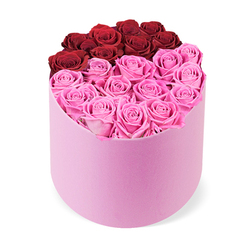 In Canonbury's own handwriting, this arrangement feels like modern romance incarnate-roses gathered with purpose, colors speaking of passion and sweetness. The top crest is a curved arc of about a dozen deep crimson red roses, while the broader lower field is a generous sweep of bright fuchsia pink roses. The cylindrical hatbox is coated in soft pink, its velvet texture ticking the senses as you imagine touching it. The roses themselves are lush and open, their petals curling inwards in delicate spirals, creating depth and a sense of quiet abundance without crowding. The overall effect is uplifting and balanced, a bouquet designed for celebrations, whether a heartfelt Valentine, an anniversary, or a joyful home welcome. The scent, subtle but present, mingles with the visual luxury to signal freshness and care. It photographs with clarity, making the velvet box and the two-color arrangement stand out against a pristine white background. Available for same-day delivery across Canonbury, Islington, and surrounding streets, this box makes a thoughtful gift for someone special at Upper Street townhouses or modern flats along New North Road.
