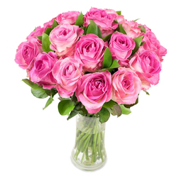 Presented with careful craftsmanship, this bouquet of about two dozen pink roses creates an immediate impression of generous romance and refined simplicity. Each flower is at peak freshness, its petals arranged in a classical spiral: deep magenta or fuchsia tucked into the heart, easing into a softer blush or creamy pink toward the outer petals. The tightly clustered heads form a plush dome, while rich green foliage pushes through at intervals, providing depth and a crisp colour contrast that enhances the vibrancy of the roses. The arrangement rests in a clear curved glass vase - narrow at the waist and gently flared at top and base - letting the straight, trimmed stems show through the water and reinforcing a feeling of natural honesty. Bright, even lighting removes shadows and highlights the velvety texture of each petal so the arrangement reads as fresh, tactile, and deliberately elegant. A subtle, sweet fragrance seems almost perceptible from the image, conjuring walks past Canonbury's gardens and early-morning markets where the scent of flowers lingers on the air. This bouquet, prepared with the same attention to proportion I use for deliveries around Essex Road and Islington Green, is ideal for romantic occasions, milestone celebrations, or a considered Mother's Day gift. Canonbury Flowers often composes similar arrangements to balance bold colour with gentle understatement for clients seeking something classic yet unmistakably personal.