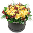 A chic black hatbox arrangement of yellow roses and dark red leucadendron is presented against a pure white background, giving the flowers the full spotlight. The roses create a generous, rounded crown of colour, each bloom a rich shade of golden yellow that brings to mind early evening light over Canonbury's quiet squares. Their petals are soft and velvety, spiralling outwards in full, open rosettes and in slightly tighter buds that hint at days of beauty to come. Rising between the roses are slender stems of Leucadendron 'Safari Sunset', their distinctive cone-like bracts deep burgundy at the tips and fading into earthy greens near the base. These sculptural accents lend depth and drama, like flickers of candlelight among the sunny blossoms. Around the base, a collar of glossy, dark green leaves frames the flowers, providing a rich, natural backdrop that makes the yellows and reds appear even more intense. Delicate, fine-textured sprigs of soft green filler peek out here and there, softening the edges and giving the arrangement a slightly wild, garden-inspired touch despite its formal shape. Encircling the upper rim of the hatbox is a slim band of white lace, its pattern intricate yet understated, adding a romantic, handcrafted feel that sits comfortably beside the box's smooth, modern black finish. The design looks like it could be placed straight onto a dining table in a Canonbury apartment or delivered as a cheerful thank-you for a friend near Upper Street. It conveys warmth, celebration, and a sense of carefully considered style, with every bloom positioned to create balance, movement, and a quietly joyful presence.
