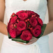 Cradled as if about to be handed to a bride, this Canonbury bridal bouquet showcases the full drama of red roses paired with glossy red hypericum berries, composed with the quiet confidence of a seasoned local florist. The roses are the undeniable stars: large, open blooms in a rich, passionate red, their velvety petals curling inwards and outwards in layered spirals, full of movement and depth. Tucked between them, small sprays of rounded berries add a playful rhythm, like beads scattered between silk folds, their polished surfaces catching soft light from a nearby window. Surrounding the flowers is a precise collar of folded aspidistra leaves, their deep green tone grounding the arrangement and providing a contemporary, sculpted frame. The foliage curves smoothly around the bouquet, giving it structure without stealing attention from the vibrant red centre. You can almost feel the weight of the stems bound together, firm yet comfortable in the hand, poised for that first step down an aisle in a Canonbury church or registry office. The atmosphere is one of modern romance rooted in tradition, the kind of bouquet chosen by someone who loves classic red roses but wants a hint of personality and texture. It evokes the scent of fresh blooms delivered at dawn, the gentle rustle of tissue paper being unfolded in a quiet North London kitchen, and the hum of anticipation before vows are spoken. Every element suggests thoughtful design and heartfelt intent, a floral tribute to love's intensity and enduring promise.