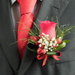 This boutonniere presents a study in refined masculinity, anchored by a single pinkish-red rose that sits proudly at the centre, its petals lush, velvety, and inviting to the touch. The bloom appears almost luminous against the dark charcoal suit, as if catching filtered daylight from a window overlooking Canonbury Square. Radiating out from the rose, fine feathery greenery brings a sense of gentle motion, the leaves angling and curving as though stirred by a passing breeze on Upper Street. Intertwined with the foliage, miniature white gypsophila blossoms-often called baby's breath-dot the composition with tiny star-like accents, adding an airy lightness and suggesting quiet romance. At the base, small red berries cluster together, their smooth, waxy skins reflecting tiny points of light and introducing a playful, almost festive touch. A tidy red ribbon secures the stems, echoing the rich tone of the perfectly tied scarlet necktie just above, creating a continuous line of colour from chest to lapel. The overall impression is dignified yet inviting, an elegant floral signature for formal moments: weddings in Islington town hall, evening receptions in local restaurants, or milestone celebrations at home in Canonbury. Though small in scale, the boutonniere feels thoughtfully constructed, each element chosen to complement the others in colour, texture, and form. You can almost imagine the soft, sweet-green scent rising from the rose and foliage, enveloping the wearer in a subtle freshness that brings a touch of the garden into the heart of the city.