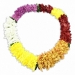 On a clean, white background, a single floral lei forms an elegant closed oval, its colours arranged in a thoughtful, flowing sequence. The garland is packed with plush, multi-layered blossoms that bring to mind small chrysanthemums or carnations, each bloom so full that together they create a continuous, velvety band. Starting from the top left and sweeping clockwise, the lei begins with a rich expanse of dark purple petals, deep and reassuring, which then softens into a brief stretch of pure white, like a breath of stillness between notes. This white segment gently yields to bright, cheerful yellow, which in turn warms into a deeper golden yellow and amber, reminiscent of evening light over Canonbury's quiet side streets. The golden hues then fade into a more grounded section of reddish-brown and maroon, providing a sense of depth and gravity, before finally emerging once more into a smaller segment of bright yellow, closing the ring with a hopeful touch. Small, dark green fabric leaves or separators are tucked discreetly at some transitions, hinting at traditional craftsmanship and guiding the rhythm of the colour changes. The blooms are clearly artificial yet lifelike, their uniform size and density suggesting a design made to endure, ideal for funeral tributes, memorial services, or celebration-of-life gatherings. A faint, soft-edged shadow lies beneath the lei, lifting it gently from the background and emphasising its symbolic circle. The image conveys both the aloha spirit and a quiet, respectful warmth, perfectly suited to a dignified farewell in and around Canonbury.