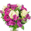 A lush, round bouquet sits crisply against a bright white backdrop, its colours vivid and fresh as if just gathered from a market stall on a cool morning walk through Canonbury. At the visual centre several large magenta Gerbera daisies command attention with layers of closely packed petals radiating from darker, intricate discs; their almost fuchsia faces bring an upbeat, celebratory energy. Soft, creamy white roses nestle between the gerberas, their velvety petals unfurling in tight, classic spirals that offer a gentle, romantic counterpoint to the daisies' bold geometry. Threads of deep purple Alstroemeria - Peruvian lilies with slender, trumpet-like petals and delicate speckling - weave through the composition, adding exotic depth and a fluttering visual rhythm. Rich green foliage, both broad and long, sword-like leaves, frames the blooms and creates pockets of shadow and light that emphasize texture and volume, making the bouquet feel full and tactile. A subtle hint of a clear glass vase appears at the base, anchoring the arrangement and suggesting cool water and crisp stems beneath. The overall effect is bright, joyful and expertly balanced: colours pop against the white background while the scent-soft, floral and green-seems almost perceptible, like a breath of spring air. Crafted with the steady hand of a neighbourhood florist familiar with Canonbury streets and local tastes, this bouquet reads as an ideal gift for birthdays, a thoughtful surprise for someone recovering at home, or a cheerful centrepiece for a small gathering by the Regents Canal or Canonbury Square. It celebrates freshness, thoughtful design and uncomplicated beauty.