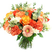 A bright, hand-tied bouquet sits upright against a crisp white background, its compact, rounded form packed with warm, autumnal colour and lively texture. The composition is dominated by several full, spiralled roses in hues ranging from deep, fiery orange to soft golden yellow, their velvety petals curling inward like small suns. Between them nest plentiful ruffled carnations in coral and peach tones, their scalloped layers giving the arrangement a plush, tactile fullness. Cheerful gerbera daisies peek through with broad, delicate petals in pale peach and apricot, each anchored by a slightly recessed yellow-green eye that catches the light. Tiny clusters of white filler blooms - delicate sprays that read like freesia or waxflower - scatter brightness through the middle notes, while airy, pale green, Astrantia-like umbels lend a feathery lightness. Rounded, silvery-green eucalyptus leaves are woven throughout, their matte texture and soft, greyed hue framing the flowers and adding a calming, garden-fresh backdrop. The stems are neatly gathered and tied at the base, the hallmark of a fresh hand-tied design ready for a vase on a Canonbury mantel or as a welcoming table centre at a local gathering. Bathed in soft, natural daylight, the bouquet gives off a gentle, warm perfume of roses tempered by the crisp, herbal scent of foliage. This arrangement reads as an expression of warmth and gratitude - perfect for birthdays, thank-you gestures, or to lift a neighbour's spirits - and carries the intimate craftsmanship of an Islington florist familiar with Canonbury Square and nearby streets.
