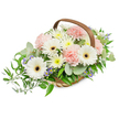 A tranquil, elongated floral basket arranged with a respectful, pastel palette that reads like a quiet, comforting gesture. The composition is built in a rustic light-brown woven basket whose natural willow or wicker strips are visible beneath a generous mound of blooms; a stout, curved wooden handle frames the display and gives it a hand-crafted, portable warmth. Dominating the bouquet are several pristine white Gerbera daisies, their broad petals arranged like soft suns and centered with deep brown to almost black discs, which anchor the eye and give the arrangement a composed, luminous focus. Nestled around and between these are clusters of frothy, pale-pink carnations whose ruffled layers create a gentle textured softness, and small daisy-like spray chrysanthemums or asters in white and pale buttery yellow that fill the spaces with a cushion of light. Tucked discreetly through the mix are tiny star-shaped blue-lavender accent blooms that offer cool, delicate punctuation against the warmer pastels. The flowers rest on a lush base of foliage: rounded, silvery-green eucalyptus leaves that lend a calm, modern scent and matte sheen, and glossy dark ruscus branches that trail slightly to the left, introducing a graceful, flowing silhouette. Lighting in the photograph is soft and even, revealing velvety petal edges, the wicker's tactile weave, and the subtle fragrance one might imagine drifting from the stems. This basket conveys quiet sympathy, gentle congratulations, or a restful centerpiece for a bedside or mantel; its balanced tones and comforting textures make it suitable for a memorial or a simple act of kindness within the Canonbury and Islington neighbourhoods, where many residents appreciate thoughtful, understated floral design.