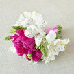 On a subtly textured linen backdrop, a hand-tied bouquet is arranged with the kind of quiet confidence you'd expect from an experienced Canonbury florist. At its centre, several lush fuchsia peonies open in full, their many layered petals forming soft, cloud-like rosettes. Their striking colour recalls the deep pinks of late-spring blossoms you might glimpse along the garden squares off Canonbury Place. Surrounding them, white alstroemeria with graceful maroon streaks fan out gently, forming a light, airy frame that softens the peonies' drama and brings refinement to the composition.
The palette is clean yet expressive: vibrant pinks, cool whites, and the fresh, bright greens of buds and foliage. Some of the green buds remain tightly closed, lending a sense of anticipation, as though the arrangement is still in the act of becoming. The stems are bound neatly with a pale pink, satin-like ribbon tied firmly yet delicately, its smooth, glossy surface catching traces of light. This ribbon anchors the bouquet, giving it a polished, bridal feel while still retaining a touch of natural looseness.
Soft light falls across the flowers, highlighting veins in the alstroemeria petals and the gentle ripples in each peony petal. Shadows pool faintly between the blooms, adding depth and dimension so the bouquet appears almost three-dimensional against the neutral cloth. Imagining the scent, there is a suggestion of early summer: a whisper of sweetness, green freshness, and the cool clarity of cut stems just arranged in the studio. It's easy to picture this bouquet being carried down the steps of a Canonbury townhouse for an intimate wedding, or arriving as a same-day delivery to a loved one nearby, offering joy, gratitude, and tender celebration in every stem.