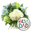 A bright, celebratory Father's Day scene is set against a pure white background, featuring a hand-tied hydrangea bouquet and a lively For the BEST DAD EVER! balloon, arranged with the relaxed refinement often seen in Canonbury homes. The bouquet occupies the left and upper centre of the frame, its shape round and abundant, as though freshly gathered by a local florist for delivery to a townhouse off Upper Street. At the heart of the design, large domes of creamy white hydrangeas form a soft, generous focal point. Each bloom is made up of countless small petals that layer together like delicate tissue, giving the arrangement a plush, cushiony texture. Interwoven with the whites are cool light blue hydrangeas, their gentle hue lending a calm, restful air, while pockets of vivid lime green hydrangeas tuck into the outer edges and lower left, adding a spark of freshness that makes the whole bouquet feel uplifting and modern. Sprays of silvery eucalyptus and rich green foliage thread between the blooms, creating depth and a touch of wildness, with different leaf shapes catching imaginary light and shadow. The stems are visible at the bottom, straight and neatly bound, confirming the bouquet as a crafted, ready-to-gift piece. To the lower right, partially overlapping the flowers, sits a glossy round foil balloon. Its centre is bright white, with bold black-and-white stripes marking the top and bottom like smart borders. Across the middle, the phrase For the BEST DAD EVER! dances in mixed fonts and colours, with BEST and DAD spelled out in a joyful collage of red, teal, green, and black letters, some striped, some polka-dotted. Around the words, little stars and coloured dots-yellow, red, teal, and black-scatter like tiny bursts of confetti. The combination of cool-toned hydrangeas and the playful, graphic balloon creates a warm, affectionate tribute perfect for honouring a much-loved dad in Canonbury on Father's Day, his birthday, or any day that calls for gratitude and celebration.