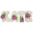A tender, freestanding floral tribute that spells the name KATE in four sculpted, three-dimensional letters, photographed against a clean white backdrop. Each letter - K, A, T and E - is built from a dense carpet of pristine white chrysanthemums whose soft, feathery petals create a plush, cloud-like texture and a sense of quiet purity. A pale pink satin ribbon traces the outer and inner contours of every letter, giving a subtle blush that catches the light like a delicate halo. Contrasting clusters punctuate the white: velvety fuchsia-pink roses alongside smaller pastel pink spray roses, and pinpointed accents of deep purple or blue blooms - likely statice or lisianthus - all grouped with varying green foliage. On the K a prominent diagonal cluster anchors the form; the A carries a gathered spray near its lower right curve; the T shows a compact cluster toward its base; and the E is graced by two floral groupings on the middle bar and lower arm. Sprigs of fern and smooth eucalyptus weave through the arrangements, adding cool green depth and a gentle herbal scent that balances the sweeter rose perfume. Soft, even lighting highlights the sculptural relief of the chrysanthemums and the satin sheen of the ribbon, while the vivid pinks and purples read as comforting, not loud. This composition reads as a bespoke sympathy or memorial piece - intimate, reverent and carefully crafted to honour a life with personalised warmth. It feels like the kind of tribute families in Canonbury or nearby Angel would choose when words are not enough.