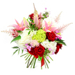 A richly detailed hand-tied bouquet is centred against a bright white background, drawing attention to the interplay of colour and texture crafted by a skilled Canonbury florist. Deep crimson roses, velvety and full, cluster together as the emotional heart of the design, their petals spiralling inwards with a sense of devotion and warmth. Around and above them, elegant pink lilies stretch gracefully, some with wide-open petals revealing speckled throats and prominent stamens, others enclosed in sleek buds that hint at perfume yet to be released. Forming a generous cushion beneath these focal blooms are ruffled white flowers, like soft clouds of carnations or hydrangea, adding volume and a gentle, luminous contrast. At the bouquet's centre sits a bright lime green tuft of dianthus or carnation, its frilly, spherical form offering a striking, modern accent. Light pink astilbe plumes rise and arc outward, their feathery texture giving the arrangement height and a softly romantic silhouette, reminiscent of the light, airy planting in Canonbury's garden squares. Scattered throughout are clusters of small fuchsia and lavender blossoms, adding intricate pops of colour that reward closer inspection. Deep green foliage threads through the bouquet, grounding the bright tones and echoing the leafy streets around Canonbury. The visible stems at the base are carefully aligned and wrapped with a simple red satin ribbon, conveying that this is a hand-tied piece, ready to carry through nearby streets for a birthday, anniversary, or just-because gesture. The overall effect is one of joyful celebration, refined yet exuberant, perfect for local delivery when only something truly special will do.